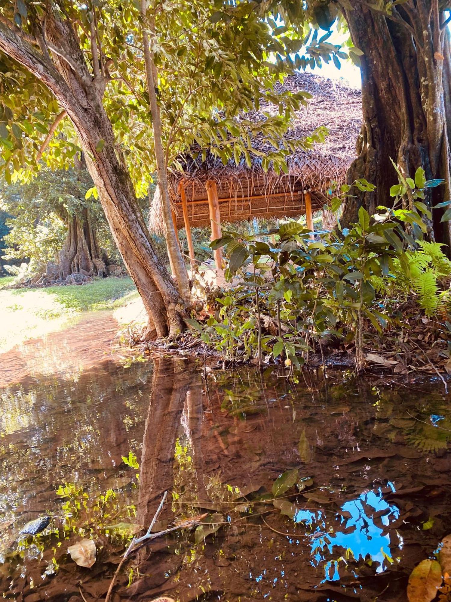 Huahine Serenity Cottage Maroe المظهر الخارجي الصورة