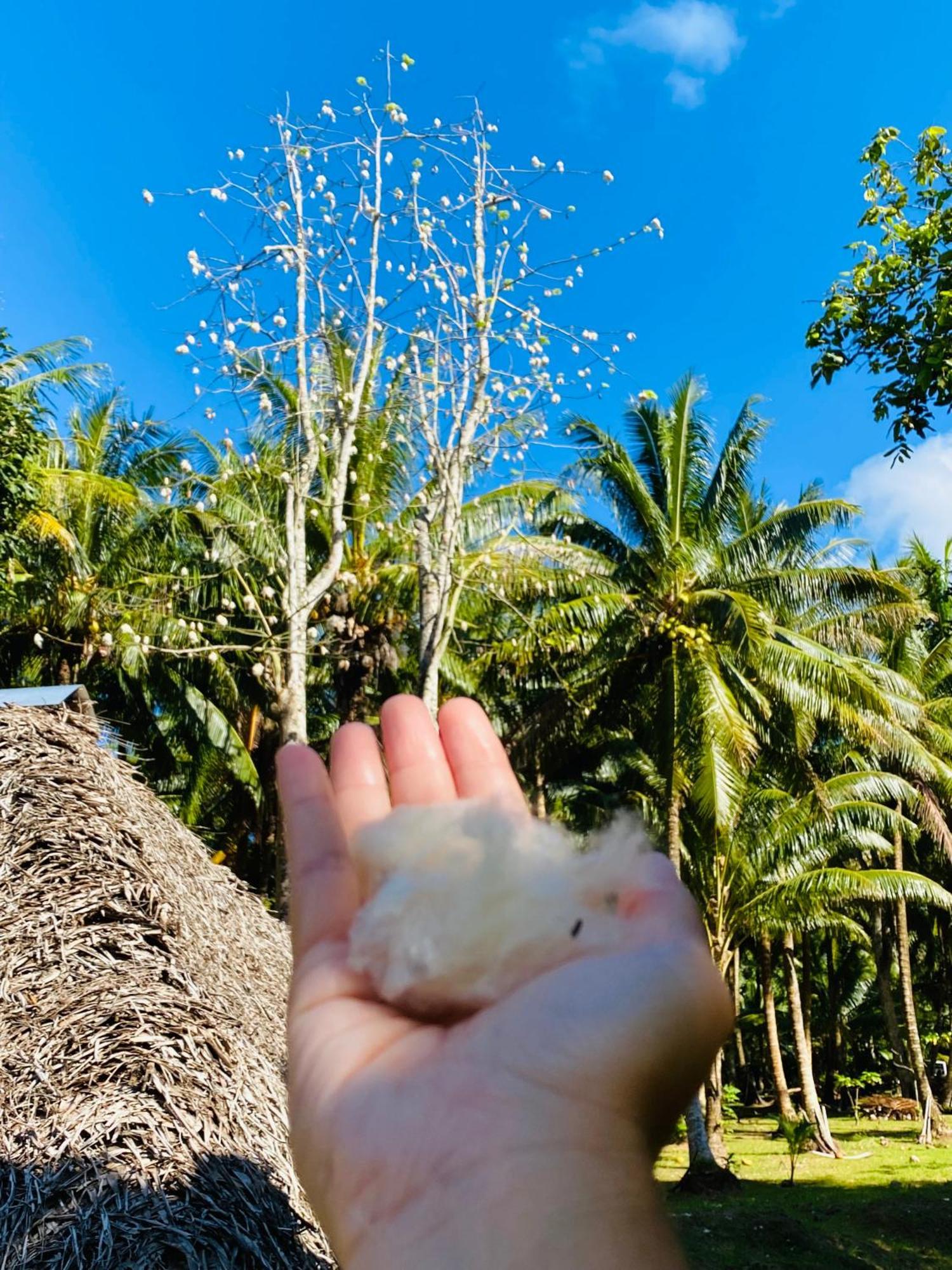 Huahine Serenity Cottage Maroe المظهر الخارجي الصورة